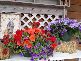 Flowers from Davis Floral.