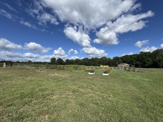 Albright Acres Flower Farm_Field