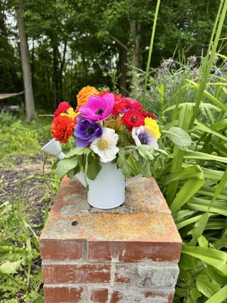 Albright Acres Flower Farm_Flowers_2