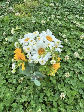 Albright Acres Flower Farm_Flowers