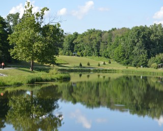 Avon Town Hall Park -  Pond
