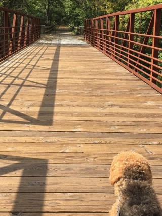 B&O Trail - Cycling