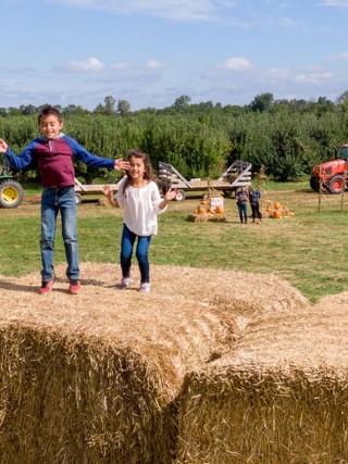 Beasley's Orchard | Hay Stack