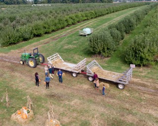 Beasley's Orchard | Hay Ride Pumpkin Patch