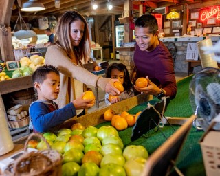 Beasley's Orchard | Barn Market