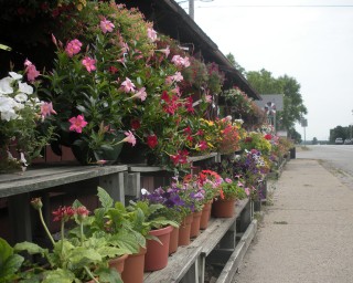 Belleville Farm Market