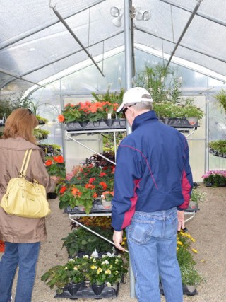 Avon Gardens