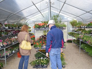 Avon Gardens