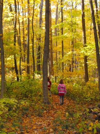 Burnett Woods Avon