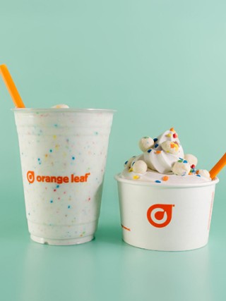 Orange Leaf 2
