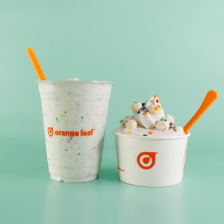 Orange Leaf 2