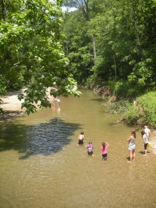 Ellis Park Creek Danville