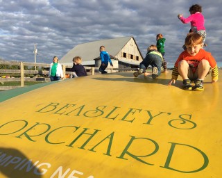 Beasley's Orchard - Kids Play Area