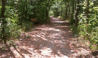 Trail