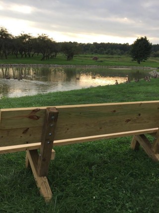 Martha's Orcahrd - Scenic Pond