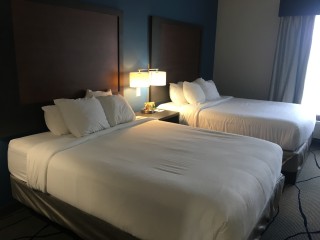 Wingate beds