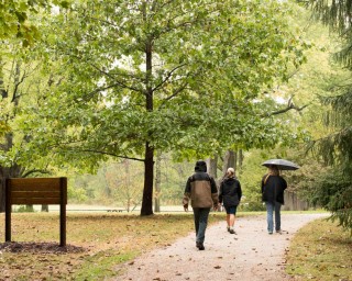 McCloud Nature Park - Walking Trail