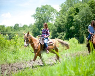 Natural Valley Ranch - Trail Riding Horseback