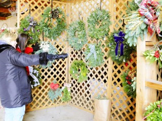 Evans Whispering Tree Farm