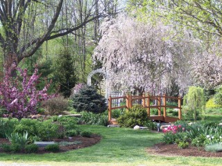 Avon Gardens