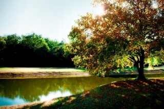 Pond at Prestwick Country Club