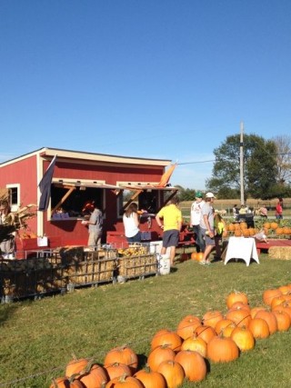 Hogan Farms