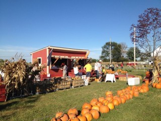 Hogan Farms